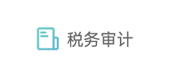 税务审计